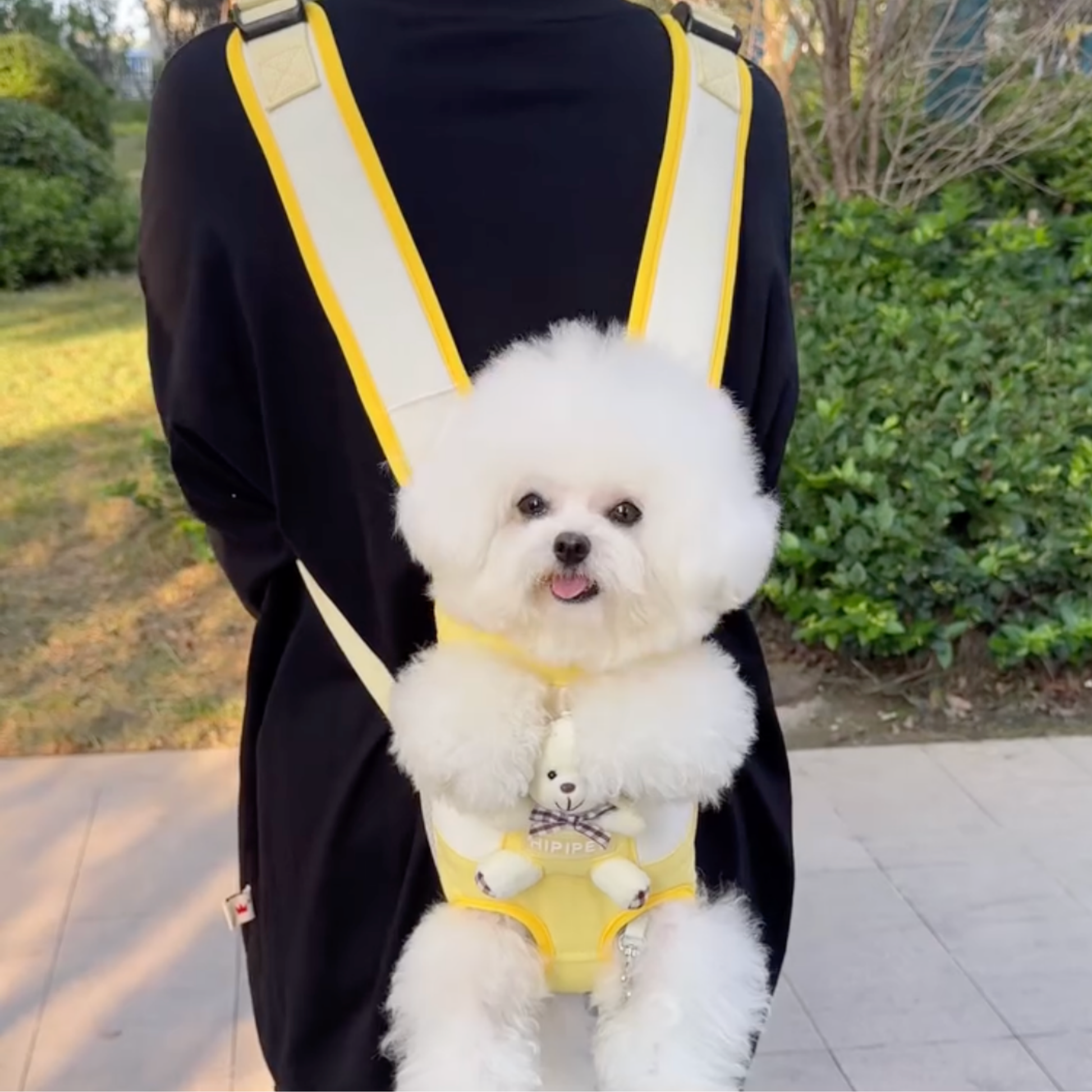 Chewie Viral Cozy Backpack