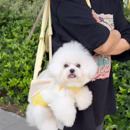 Chewie Viral Cozy Backpack