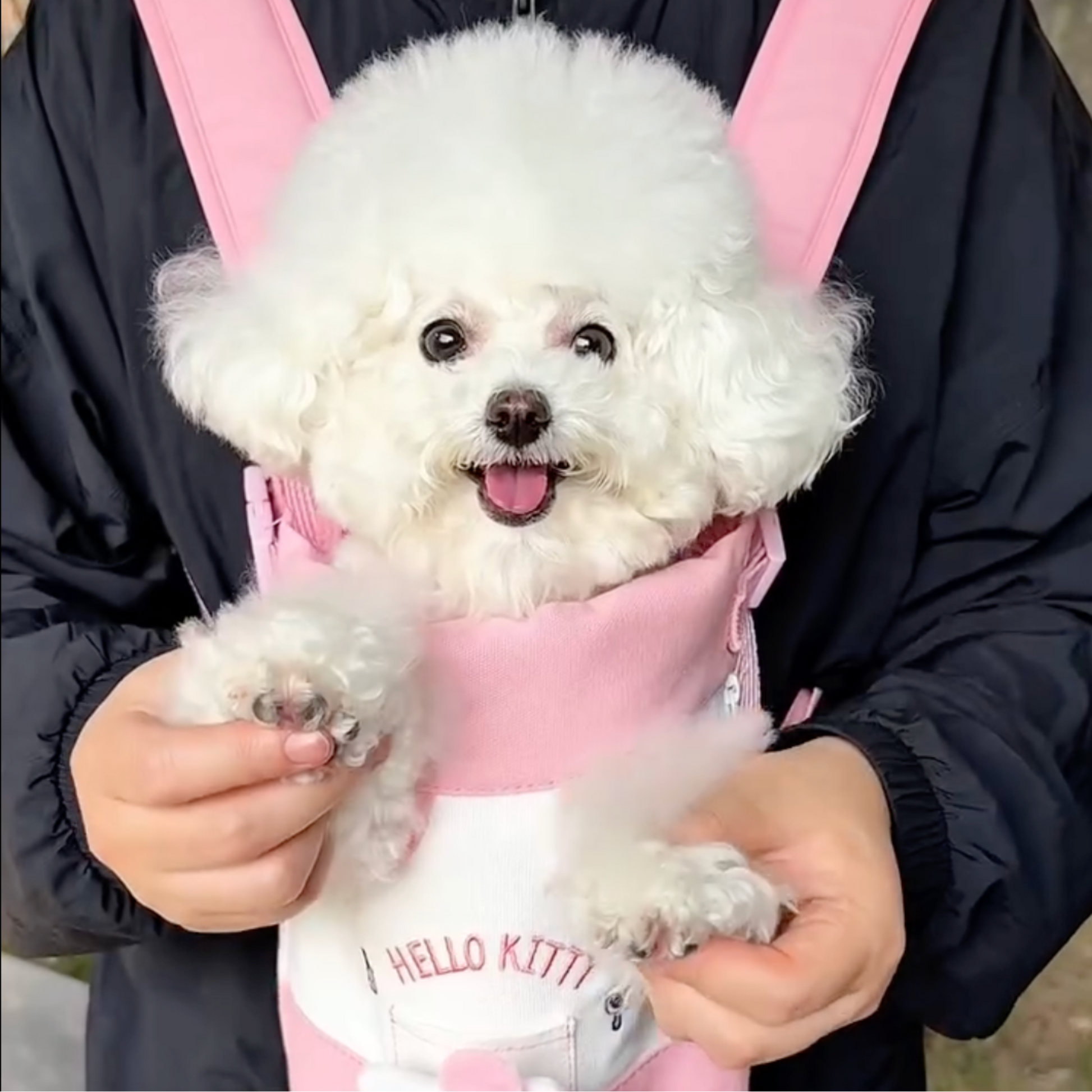 Chewie Viral Cozy Backpack
